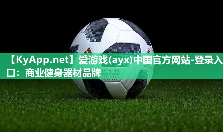 爱游戏(ayx)中国官方网站-登录入口：商业健身器材品牌