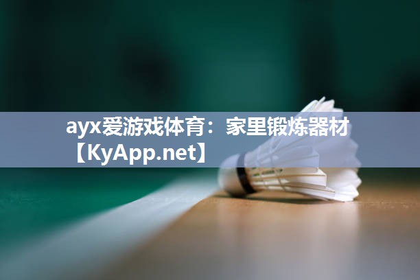 ayx爱游戏体育：家里锻炼器材