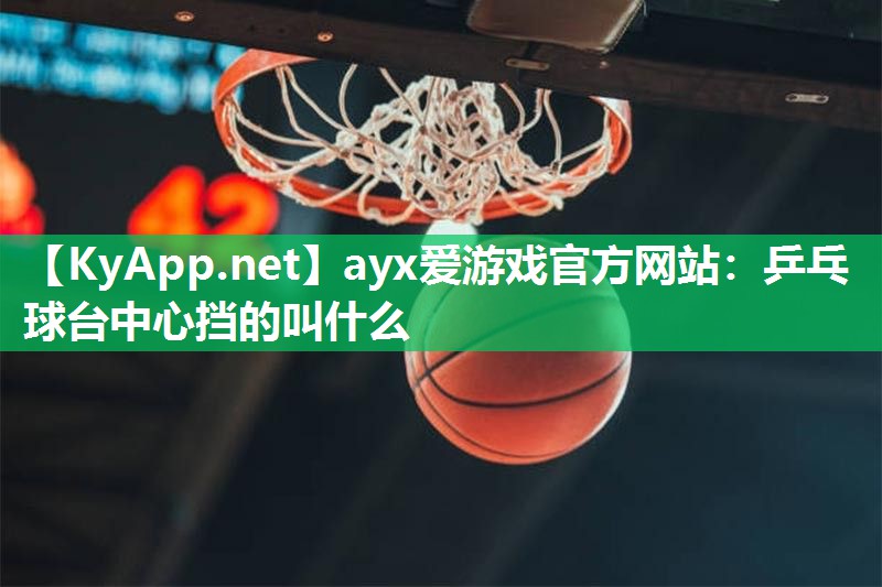 乒乓球台中心挡的叫什么