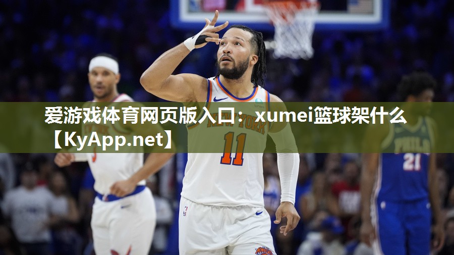 xumei篮球架什么